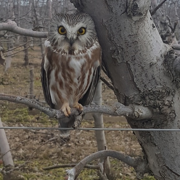 COPY - Meet your Posher, Mar?a - Picture 2 of 2